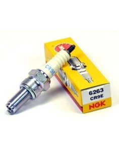 Bujia NGK CR9E