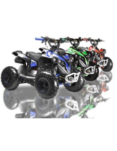 Mini quad niños 6"